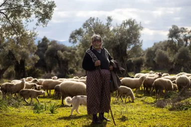 Şaşal Dolum Tesisi